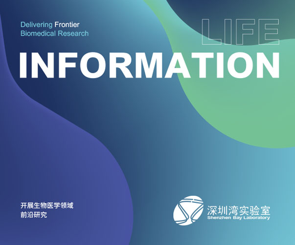 如何打造一款成功的杭州企業Logo設計作品